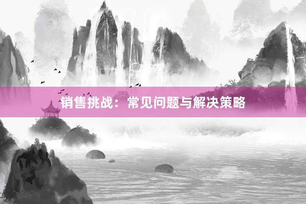 销售挑战：常见问题与解决策略